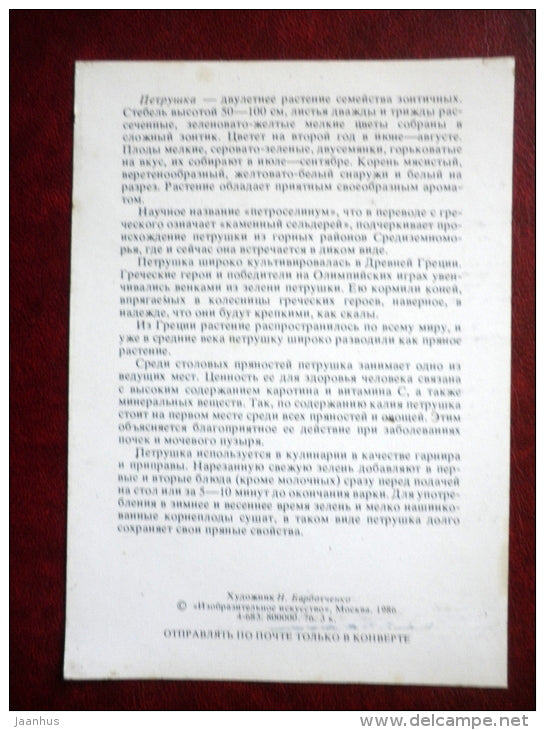 Parsley - Petroselinum crispum - by. N. Barbotchenko - plants - horseman - 1986 - Russia USSR - unused - JH Postcards