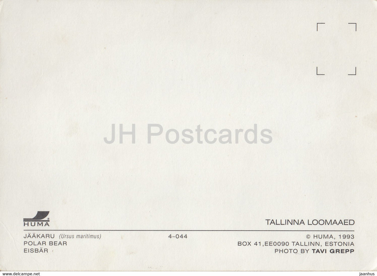 Polar Bear - Ursus maritimus - Tallinn Zoo - 1993 - Estonia - unused