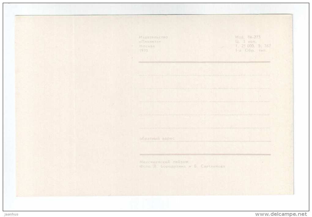 Mexican landskape - cactus - 1970 - Mexico - unused - JH Postcards