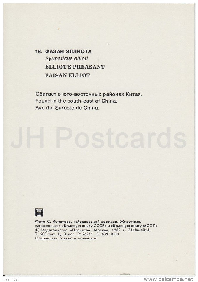 Elliot's pheasant - Syrmaticus ellioti - bird - Moscow Zoo - 1982 - Russia USSR - unused - JH Postcards