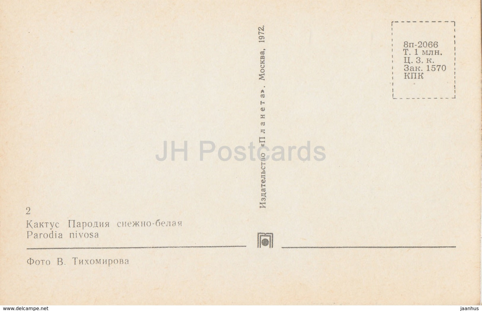 The powder puff cactus - Parodia nivosa - Cactus - Flowers - 1972 - Russia USSR - unused - JH Postcards