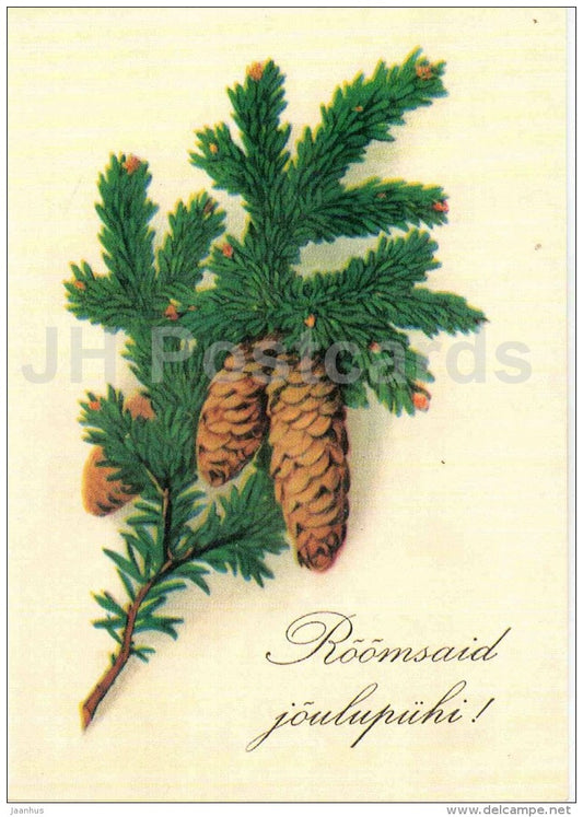 Christmas Greeting Card - fir cones - old postcard reproduction - Estonia - unused - JH Postcards
