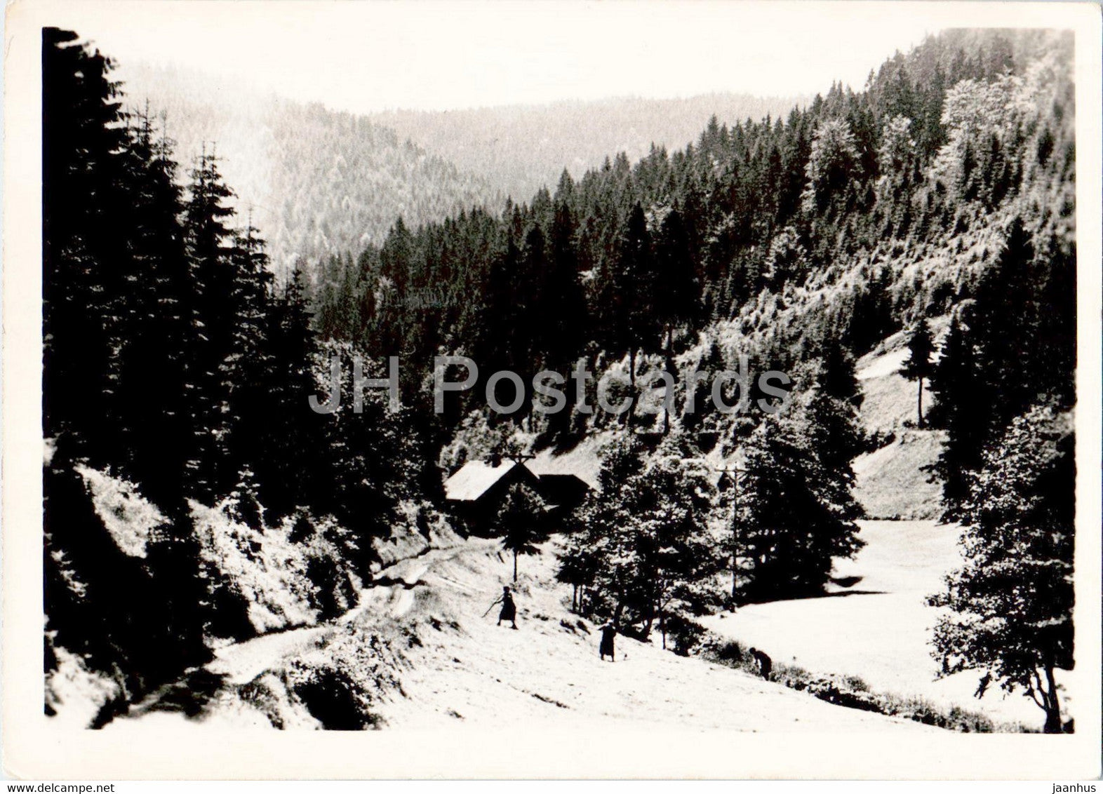Lichte - Geiersthal - Aus der Umgebung - Thurw - old postcard - Germany DDR - unused - JH Postcards