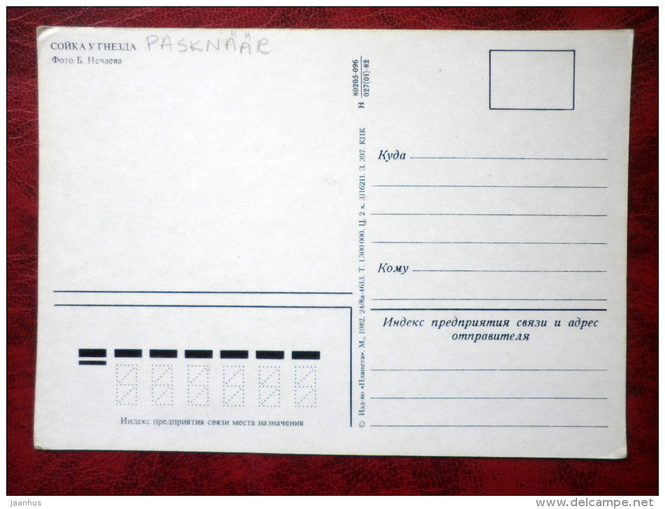 Eurasian Jay - Garrulus glandarius - birds - 1982 - Russia - USSR - used - JH Postcards