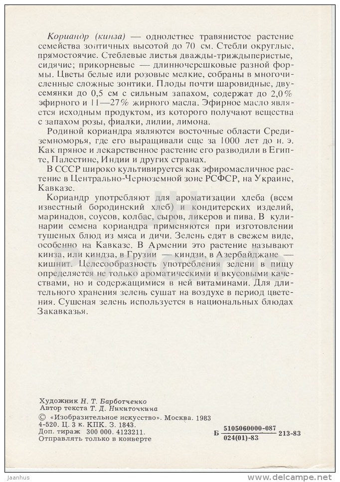 Coriander - Spice Plants - 1983 - Russia USSR - unused - JH Postcards