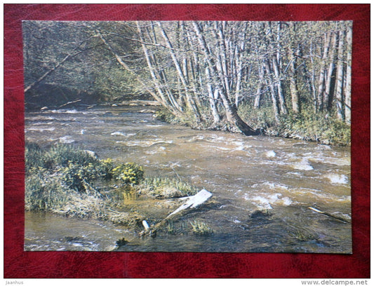 Pühajõgi river - nature - South-Estonia - 1982 - Estonia - USSR - unused - JH Postcards