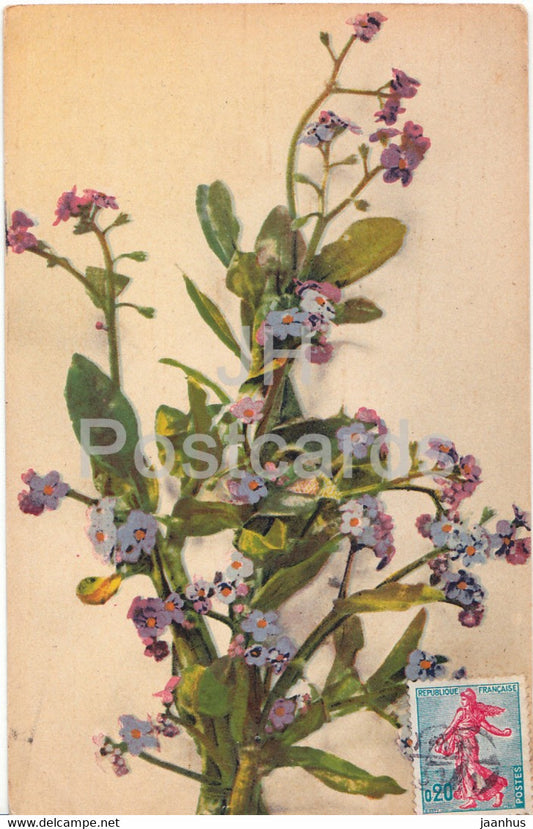 blue flowers - old postcard - France - used - JH Postcards