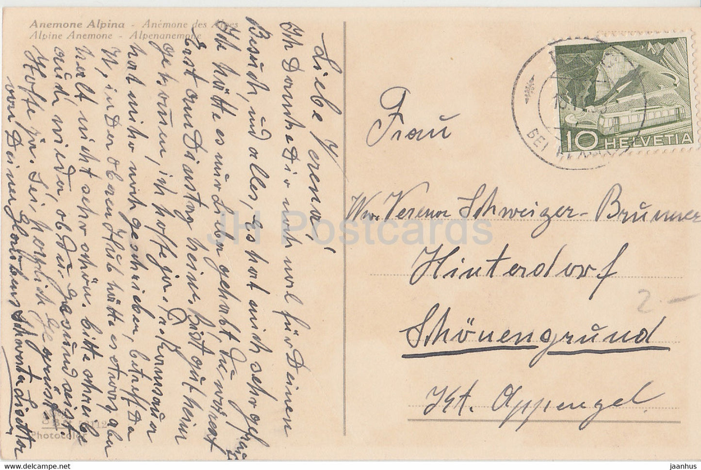 Anemone Alpina - Anémone alpine - Alpenanemone - fleurs - carte postale ancienne - 1953 - Suisse - utilisé