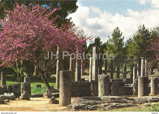 Olympia - The Palestra - Ancient Greece - 1986 - Greece - used - JH Postcards