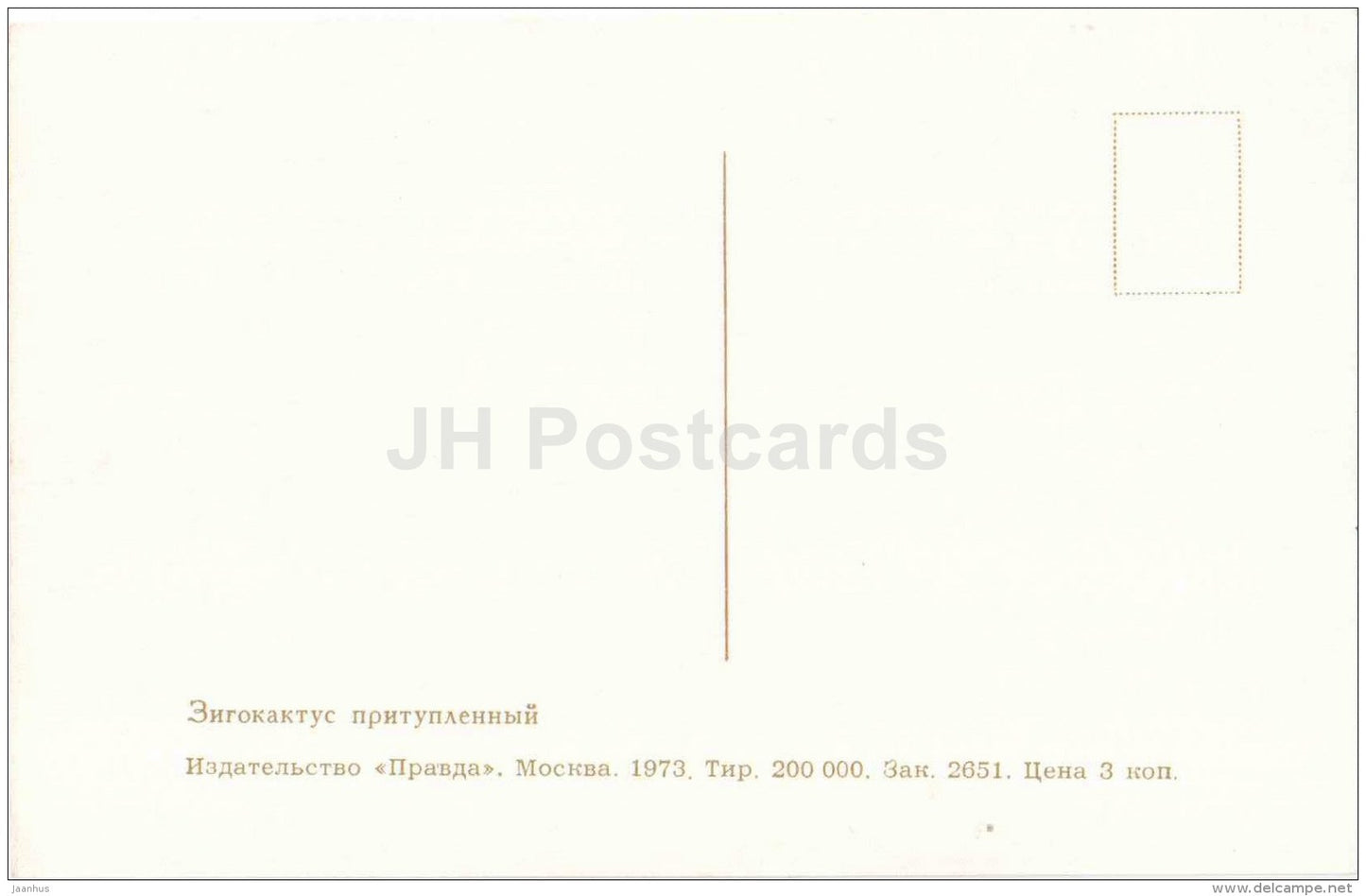 Christmas Cactus - Zygocactus - flowers - 1973 - Russia USSR - unused - JH Postcards