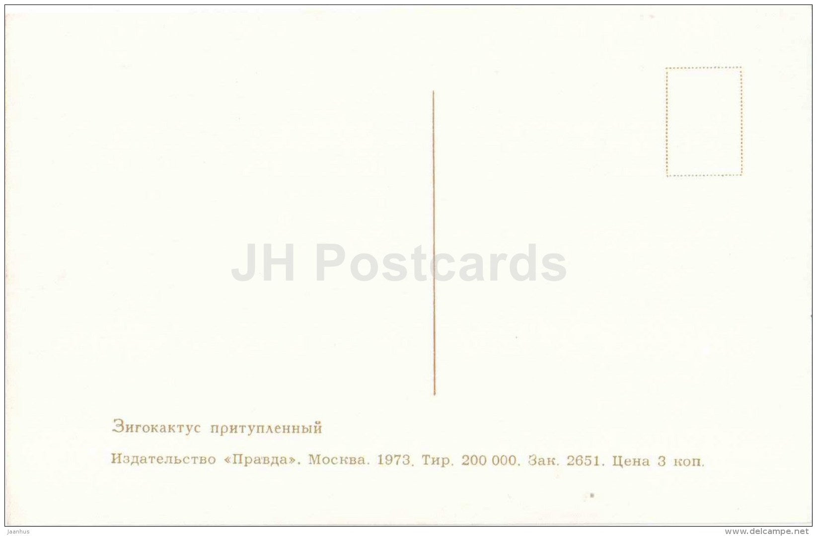 Christmas Cactus - Zygocactus - flowers - 1973 - Russia USSR - unused - JH Postcards