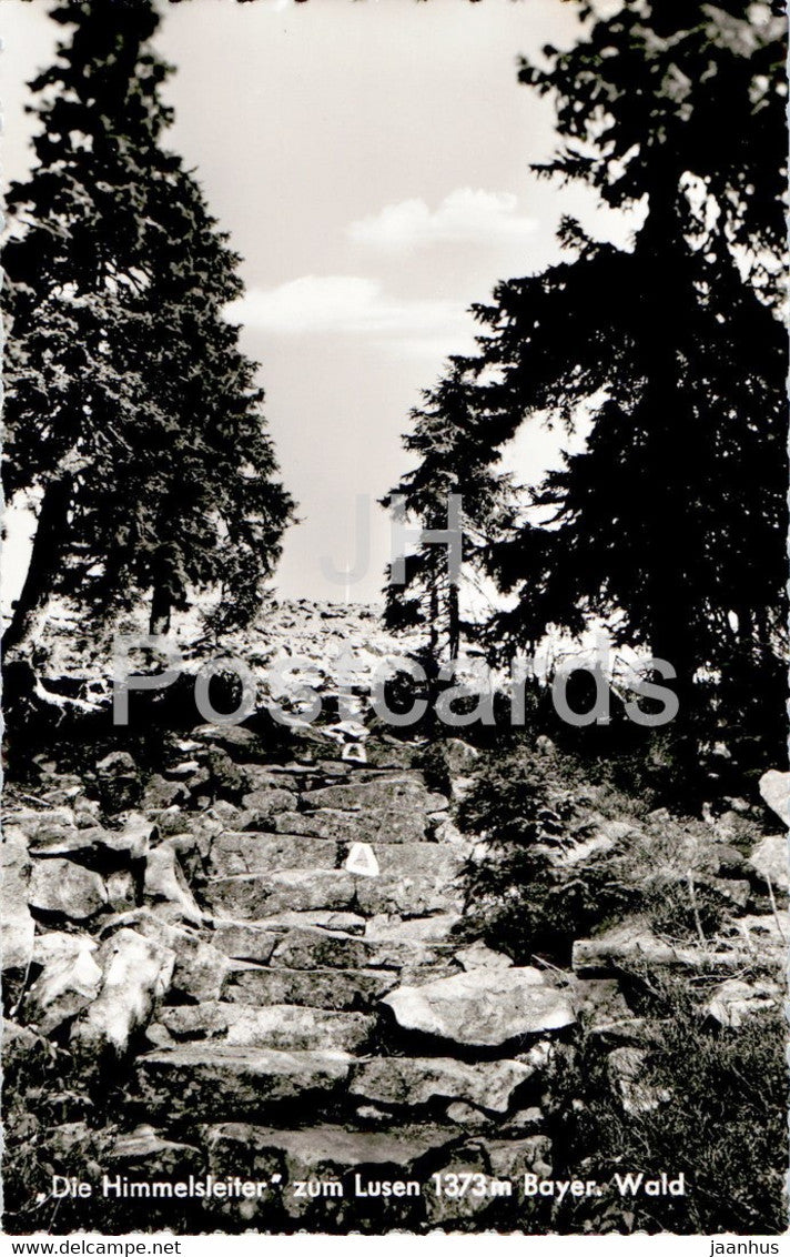 Die Himmelsleiter zum Lusen 1373 m Bayer. Wald - Gasthof u Pension zum Lusen - old postcard - Germany - unused - JH Postcards