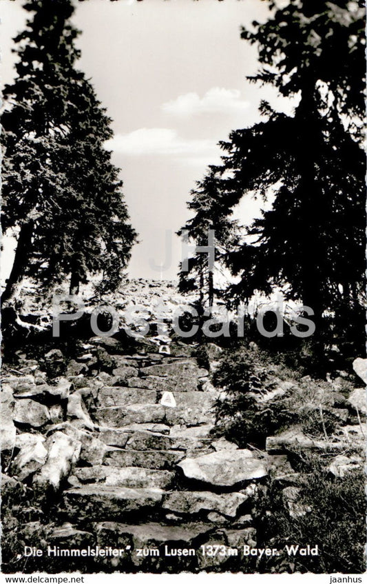 Die Himmelsleiter zum Lusen 1373 m Bayer. Wald - Gasthof u Pension zum Lusen - old postcard - Germany - unused - JH Postcards