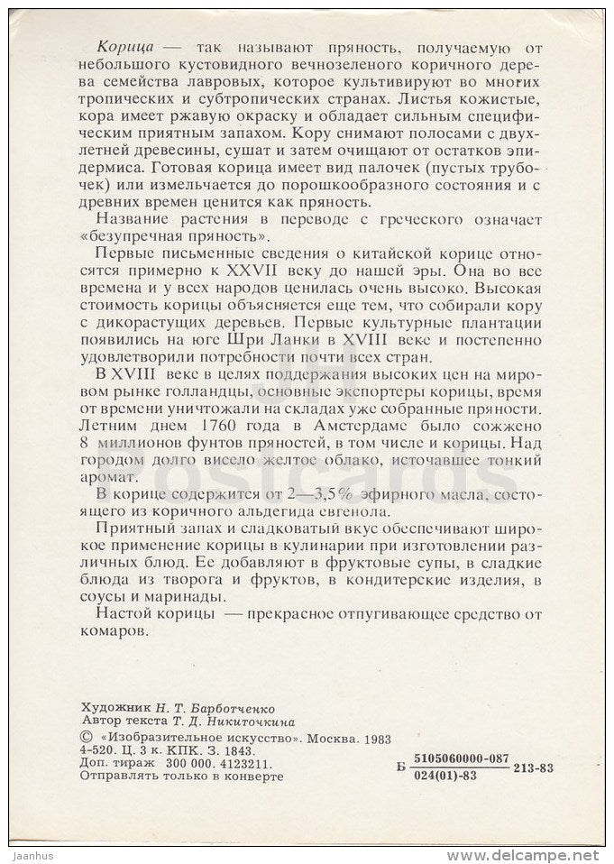 Cinnamon - Spice Plants - 1983 - Russia USSR - unused - JH Postcards