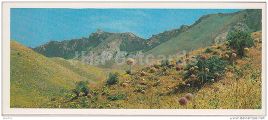 valley - Kopet Dagh Nature Reserve - 1985 - Turkmenistan USSR - unused - JH Postcards