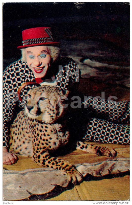 clown Gosha Afanasyev with cheetah - Animals in Circus - 1975 - Russia USSR - unused - JH Postcards