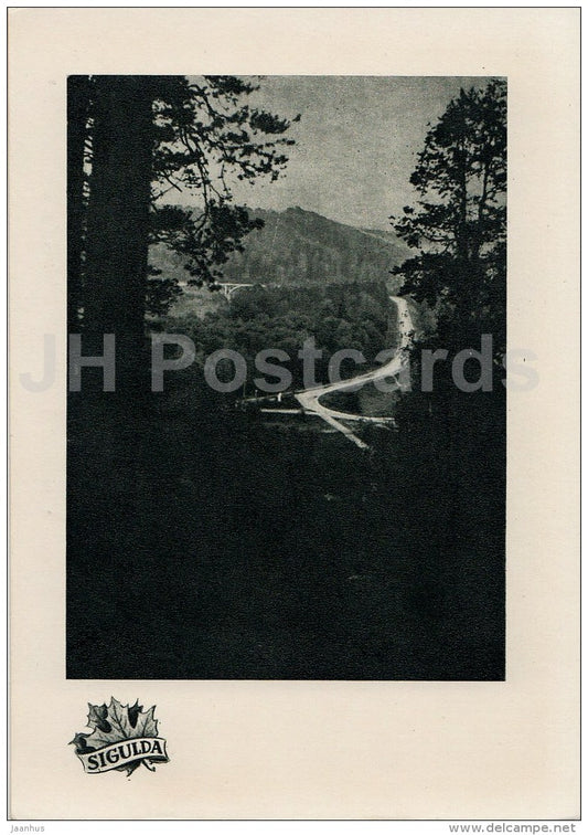 road to the bridge - Sigulda - old postcard - Latvia USSR - unused - JH Postcards