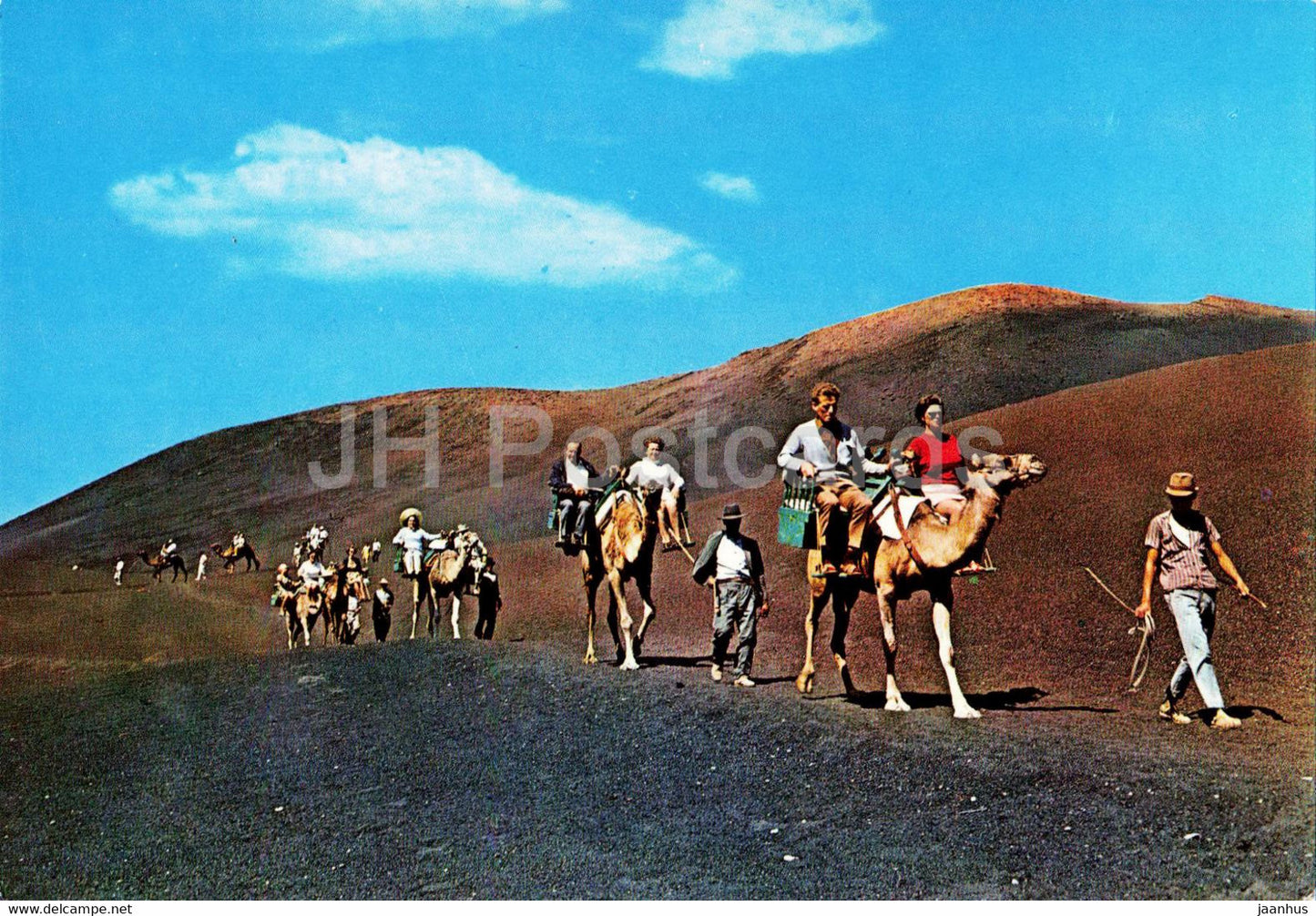 Islas Canarias - Caravana de camellos con turistas - animals - camel - 2290 - Spain - unused - JH Postcards