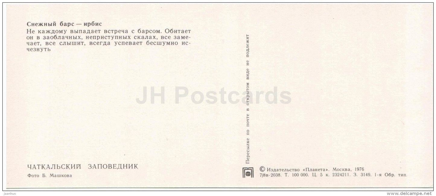 Snow Leopard - Uncia irbis - Chatkalsky National Park - 1976 - Uzbekistan USSR - unused - JH Postcards