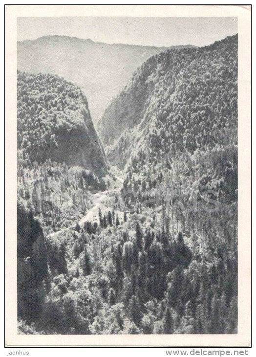 Yupshara canyon - Lake Ritsa - Abkhazia - Caucasus - 1955 - Georgia USSR - unused - JH Postcards