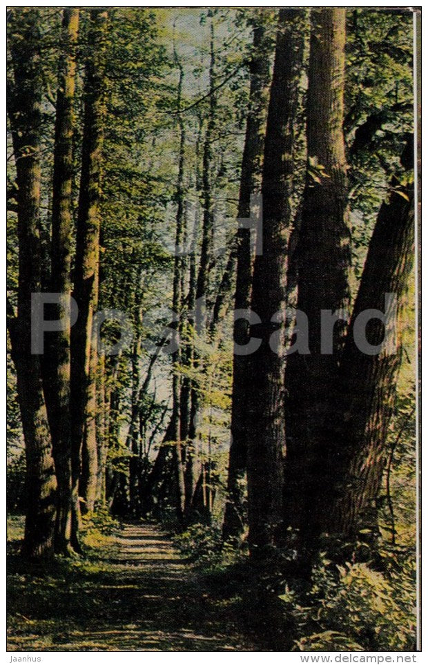 the upper Kliny park - Russian writer Leo Tolstoy Museum - Yasnaya Polyana - 1971 - Russia USSR - unused - JH Postcards
