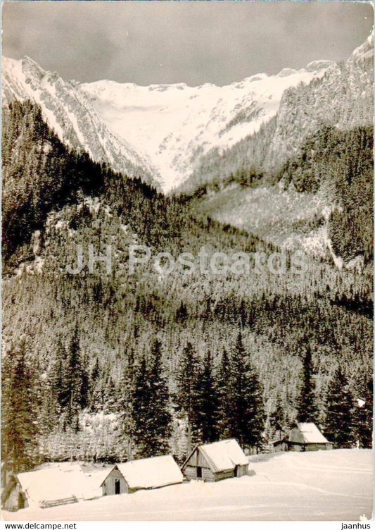 Tatry Zachodnie - Western Tatras - View of the Ornak - old postcard - Poland - unused - JH Postcards