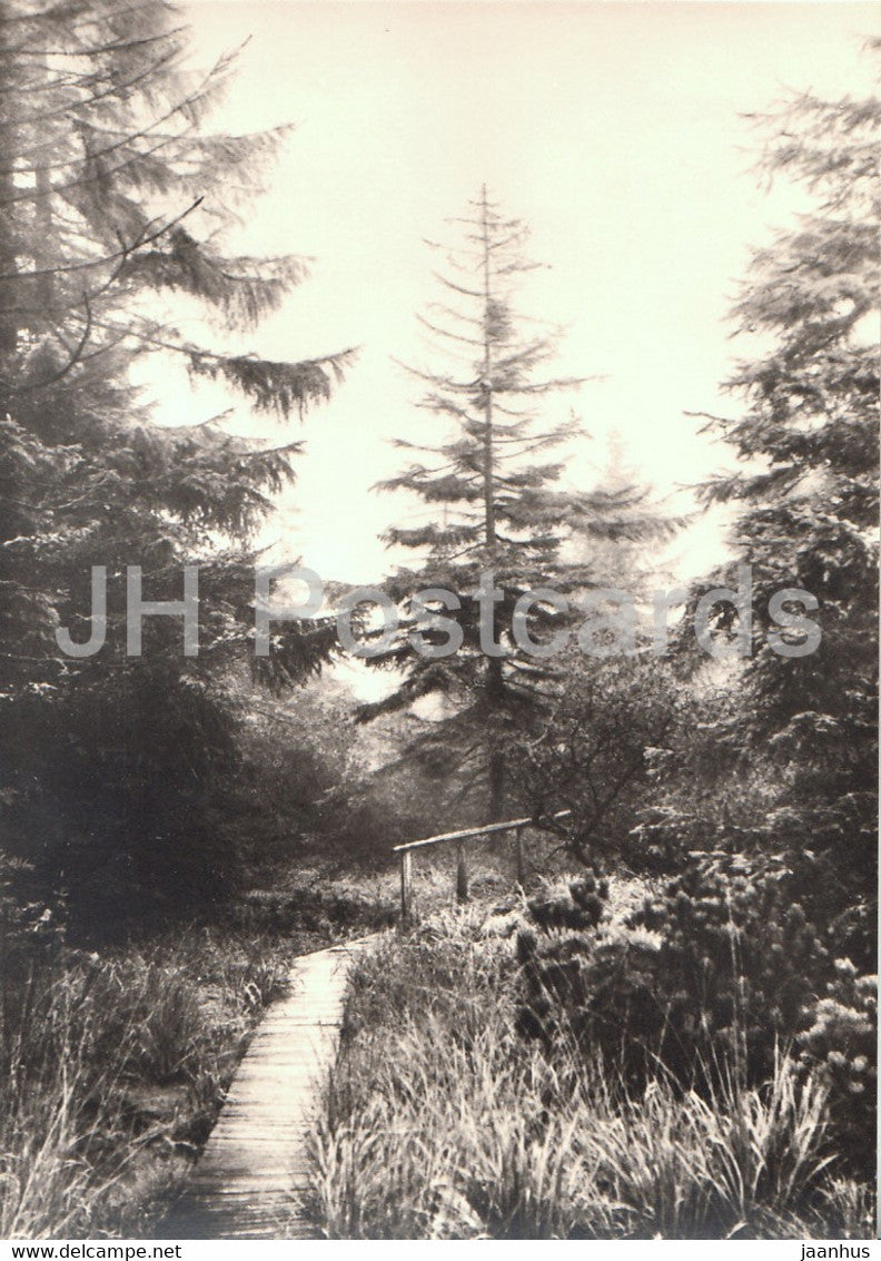 Naturschutzgebiet Georgenfelder Hochmoor - Germany DDR - unused - JH Postcards