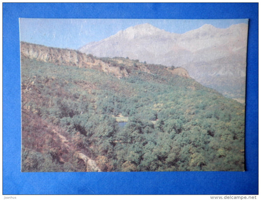 Arslan-Bob - hazel thickets - Nature of Kyrgyzstan - 1969 - Kyrgyzstan USSR - unused - JH Postcards
