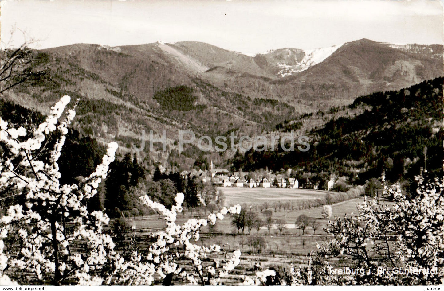 Freiburg i Br - Gunterstal - Germany - used - JH Postcards