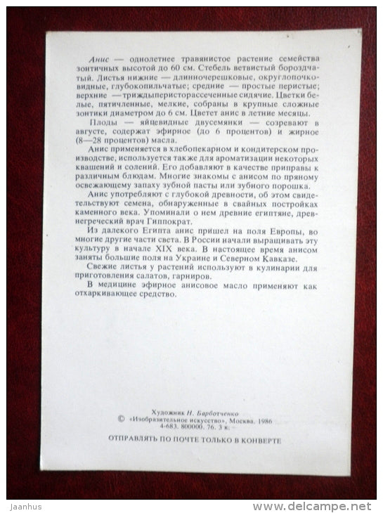 Anise - Pimpinella anisum - by. N. Barbotchenko - plants - camel - 1986 - Russia USSR - unused - JH Postcards