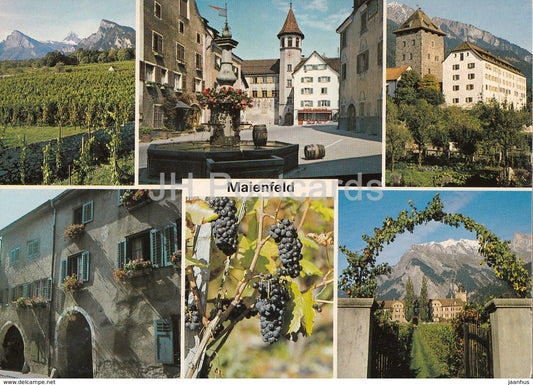 Maienfeld - Weinberge - Stadliplatz - Schloss Brandis - Salenegg - castle - grape - multiview - 1987  Switzerland - used - JH Postcards