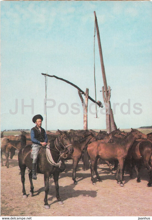 Hortobagy - At the great shadoof Hortobagy - horse - Hungary - unused - JH Postcards