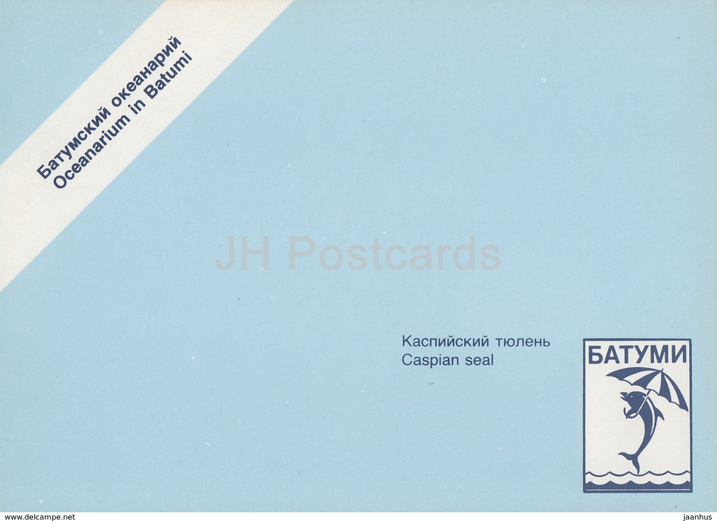 Caspian seal - Pusa caspica - Oceanarium in Batumi - 1989 - Georgia USSR - unused - JH Postcards
