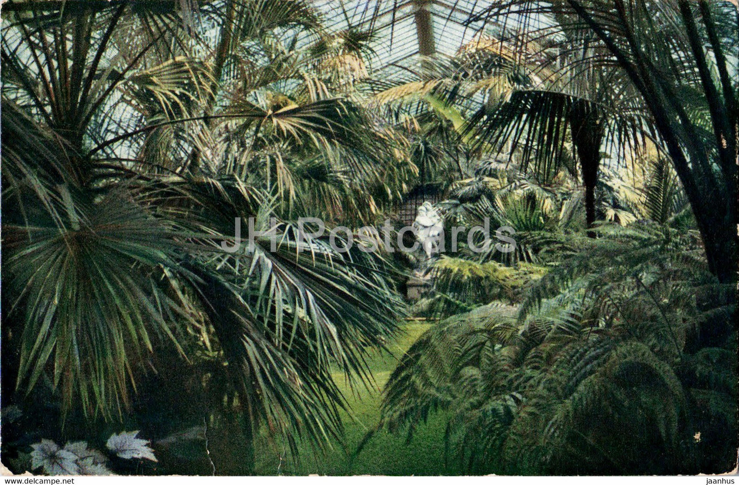 Frankfurt a M - Palmengarten - Neues Palmenhaus mit Perseus Gruppe - old postcard - 1912 - Germany - used - JH Postcards