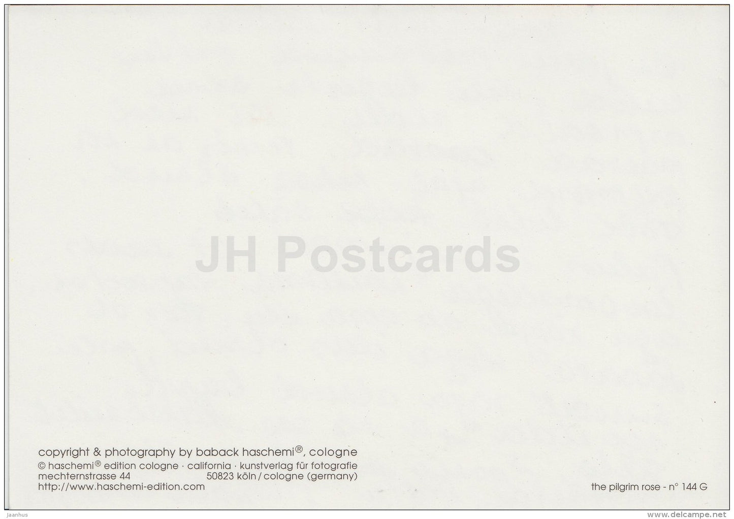 greeting card - The Pilgrim Rose - flowers - used - JH Postcards
