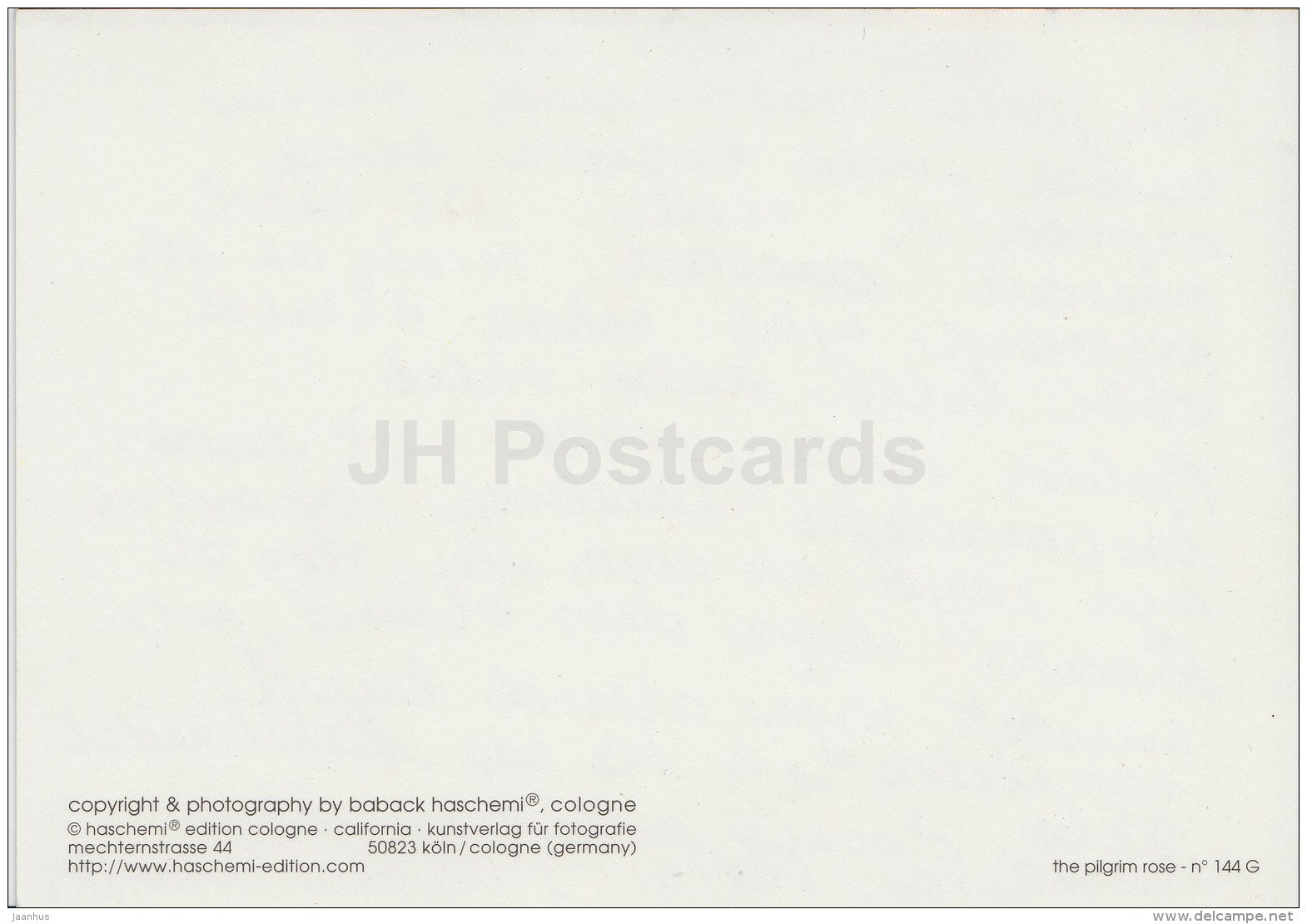 greeting card - The Pilgrim Rose - flowers - used - JH Postcards