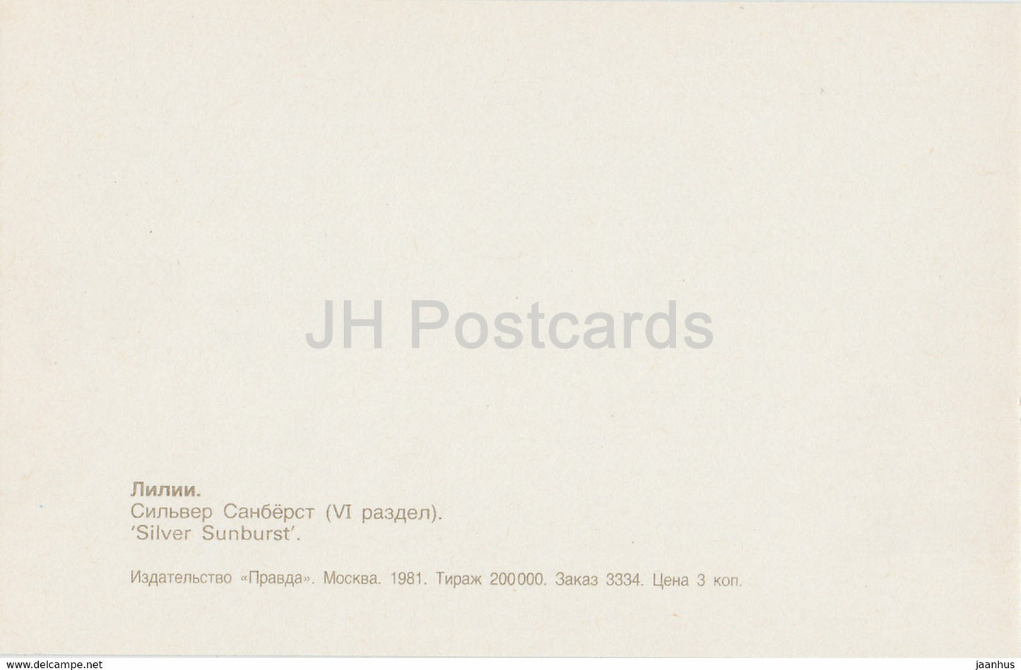 Silver Sunburst - lily - flowers - 1981 - Russia USSR - unused