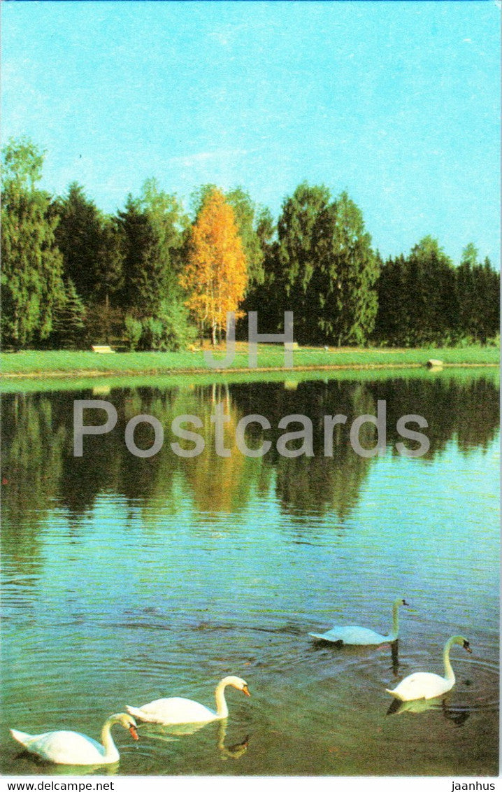Minsk - The Botanical Gardens of Academy of Sciences of Belarus - birds - swan - 1977 - Belarus USSR - unused - JH Postcards