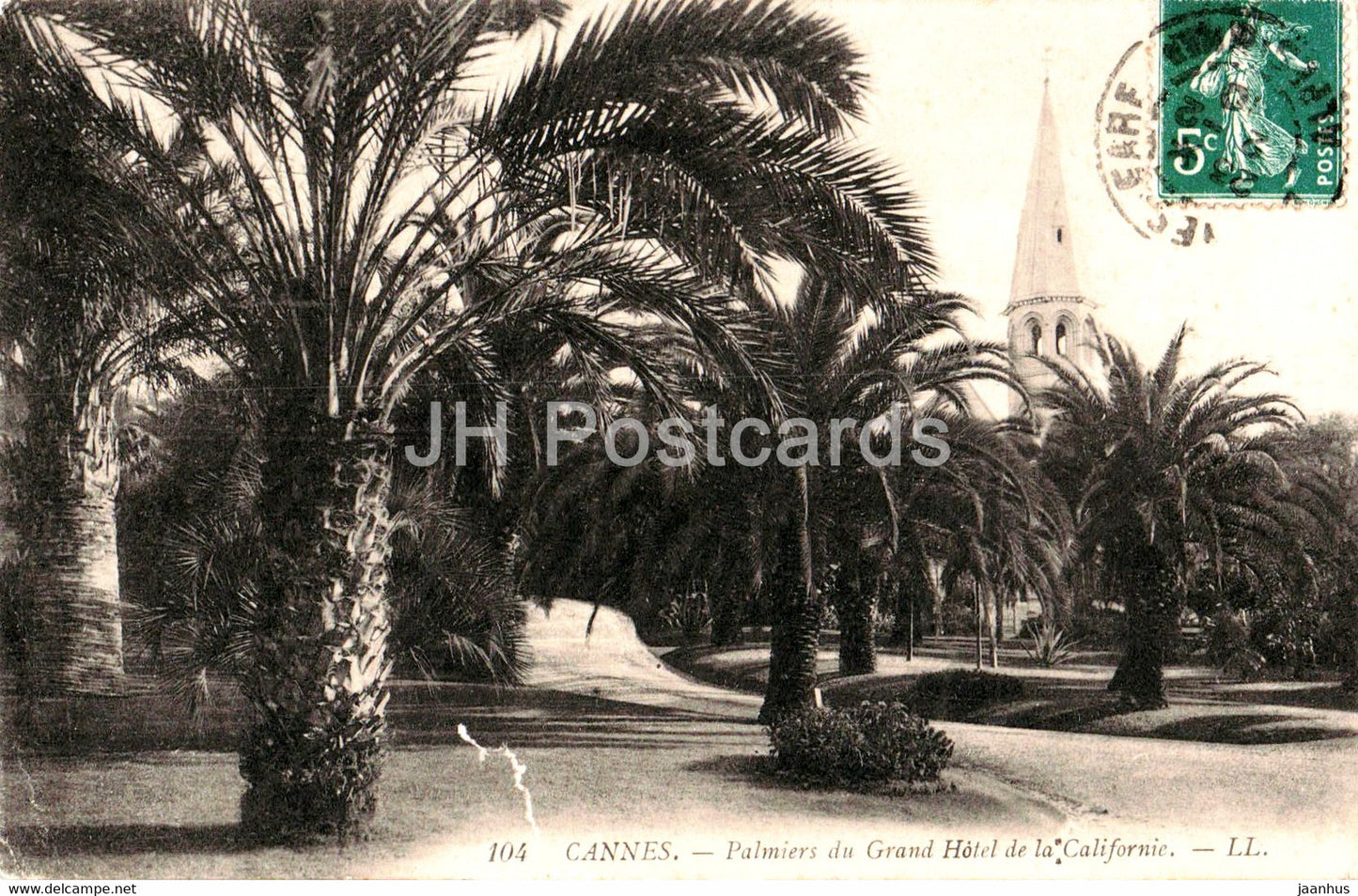 Cannes - Palmiers du Grand Hotel de la Californie - 104 - old postcard - 1910 - France - used - JH Postcards