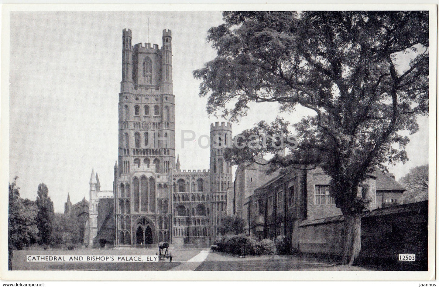 Ely - Cathedral and Bishop' s Palace - 12503 - 1961 - United Kingdom - England - used - JH Postcards