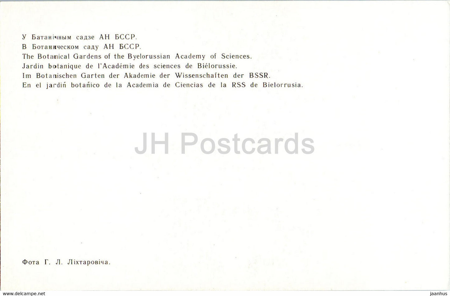 Minsk - Jardins botaniques de l'Académie des sciences de Biélorussie - oiseaux - cygne - 1977 - Biélorussie URSS - inutilisé