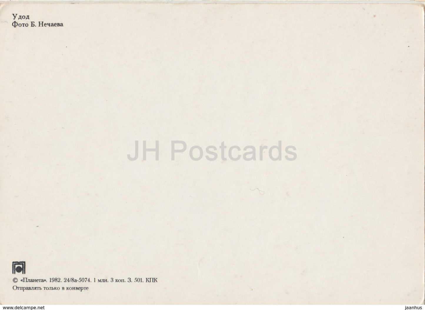 Eurasischer Wiedehopf - Upupa epops - Vögel - 1982 - Russland UdSSR - unbenutzt