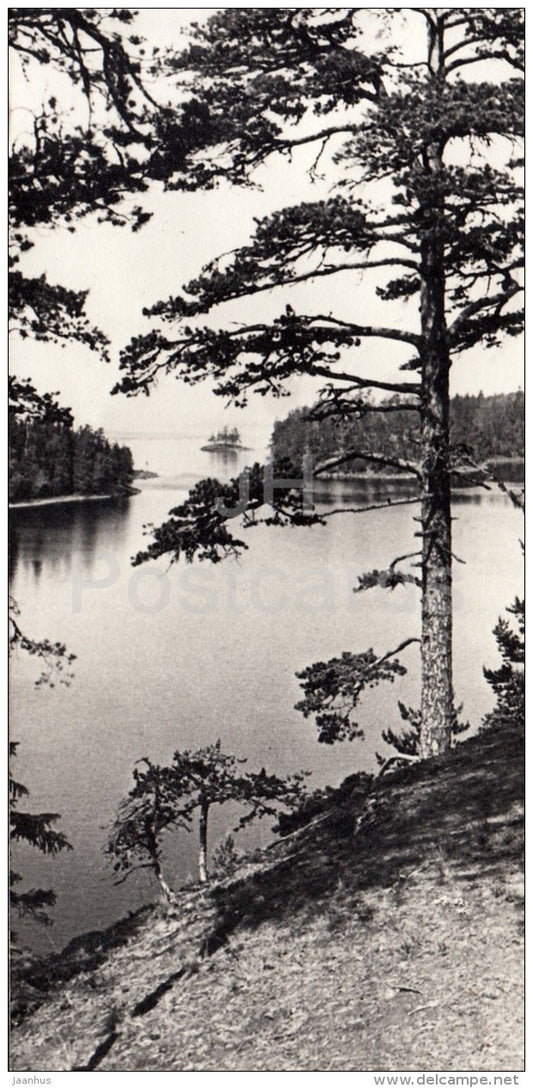 view at Malaya Nikonovskaya bay - Valaam island - Russia USSR - 1981 - unused - JH Postcards