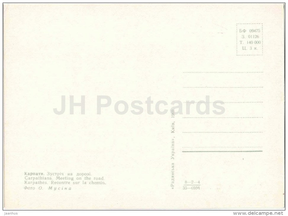 meeting on the road - deer - car Volga - Carpathian Mountains - Karpaty - 1969 - Ukraine USSR - unused - JH Postcards