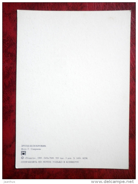 Redwing - Turdus iliacus - birds - 1985 - Russia - USSR - unused - JH Postcards