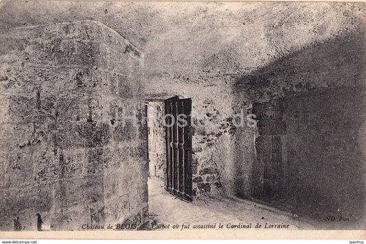 Chateau de Blois - Cachot ou fut assassine le Cardinal de Lorraine - castle - 102 - old postcard - France - unused