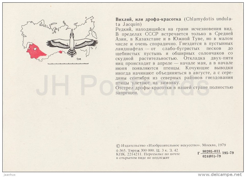 Houbara bustard - Chlamydotis undulata - birds - Endangered species - 1979 - Russia USSR - unused - JH Postcards