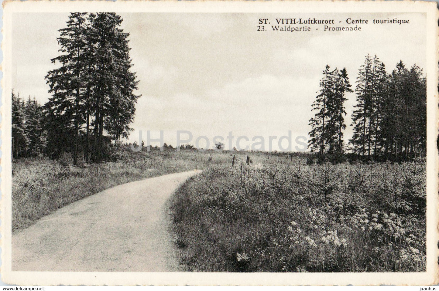 St Vith Luftkurort - Centre touristique - Waldpartie - Promenade - 23 - old postcard - Belgium - unused - JH Postcards
