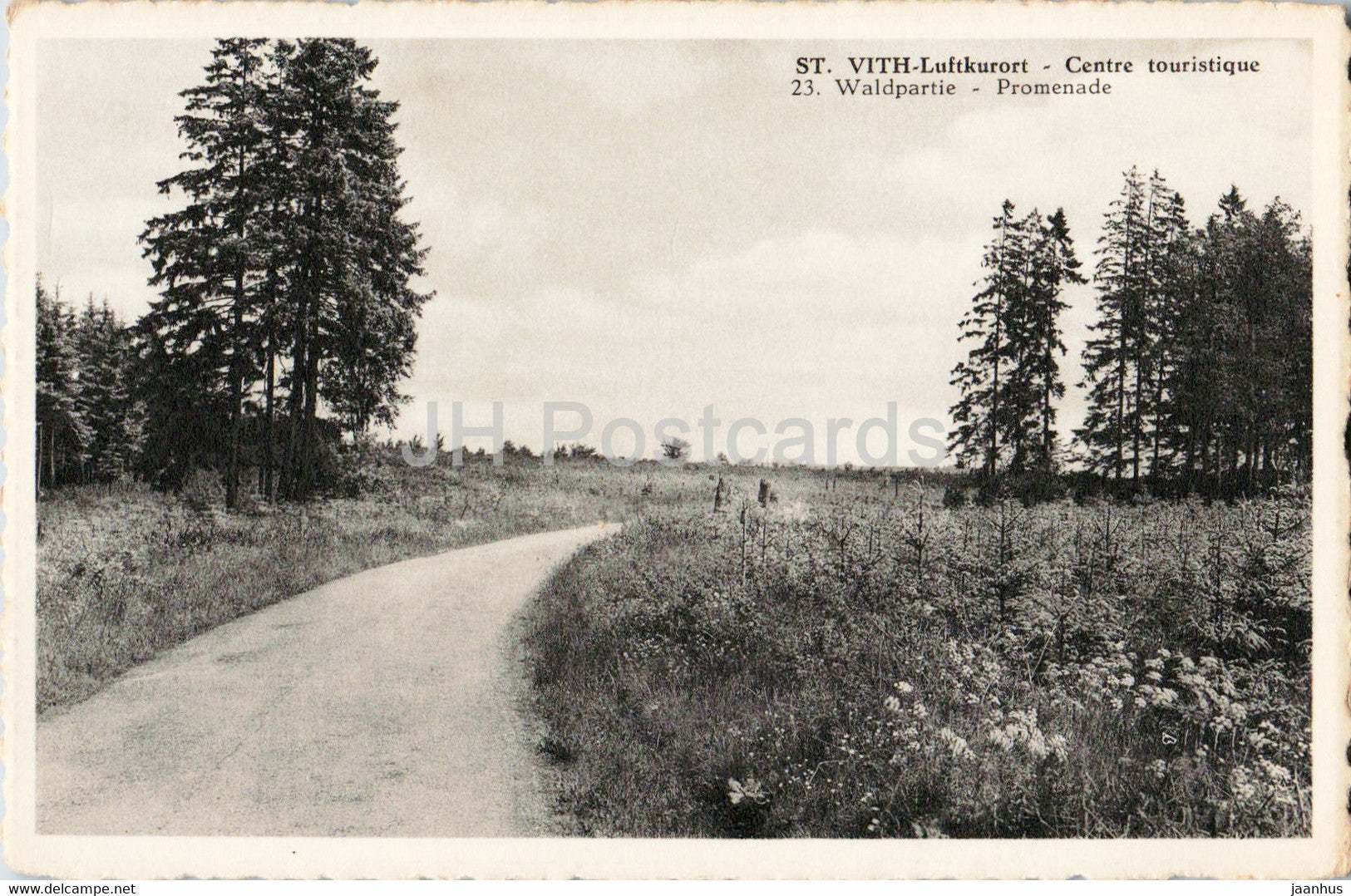 St Vith Luftkurort - Centre touristique - Waldpartie - Promenade - 23 - old postcard - Belgium - unused - JH Postcards