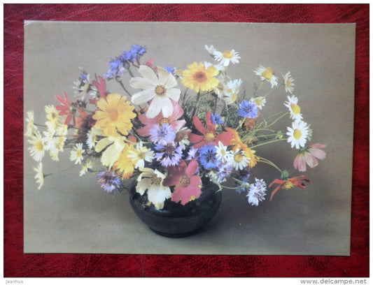 floral composition - cornflower - daisies - flowers - 1987 - Russia - USSR - unused - JH Postcards